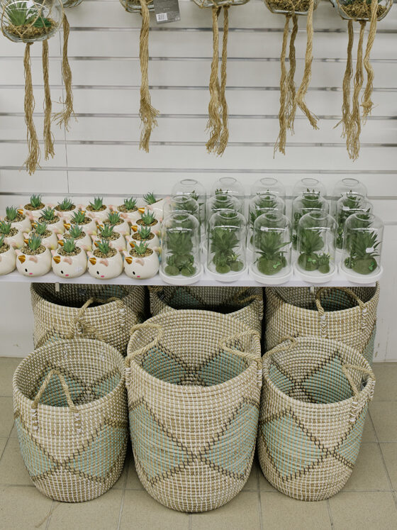 Plantes & Panier